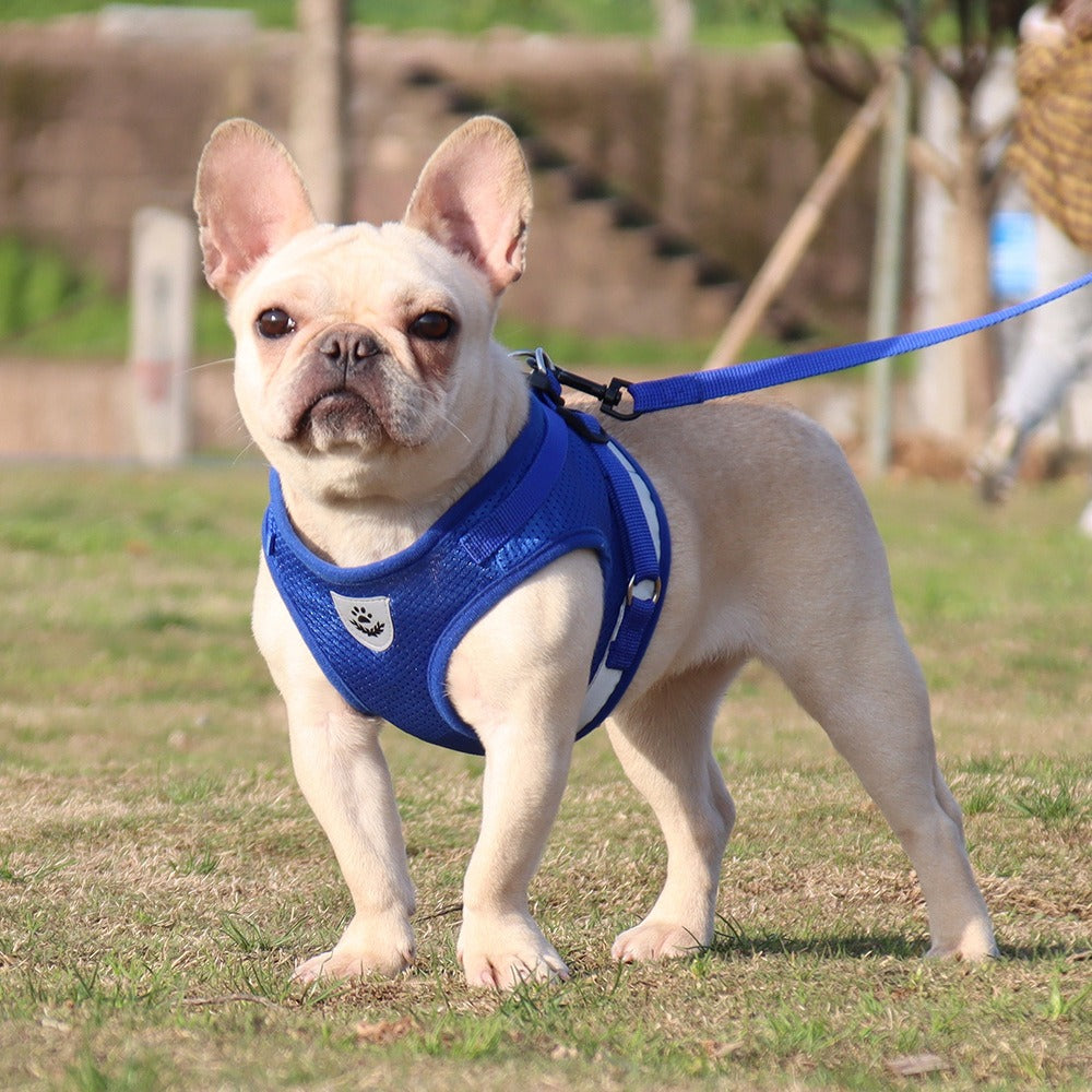 Breathable Reflective Dog Harness With Matching Leash