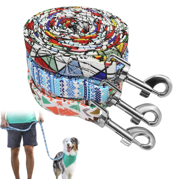 Thick Nylon Rope Dog Leash for Secure Outdoor Walks