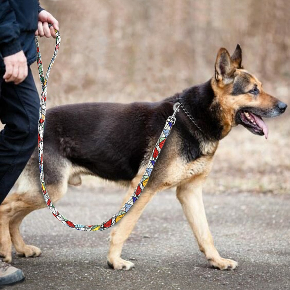 Thick Nylon Rope Dog Leash for Secure Outdoor Walks