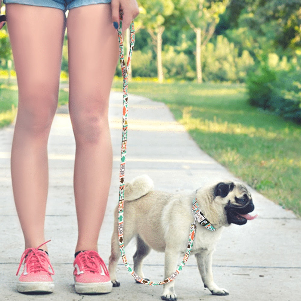 Thick Nylon Rope Dog Leash for Secure Outdoor Walks