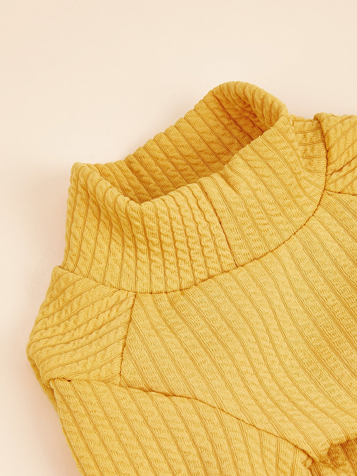 Ribbed Pet T-Shirt for Cozy, Polished Everyday Style