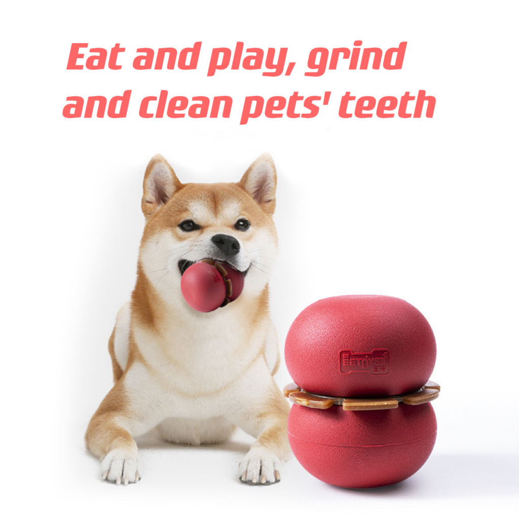 Treat-Dispensing Dog Toy With Textured Dental Ring