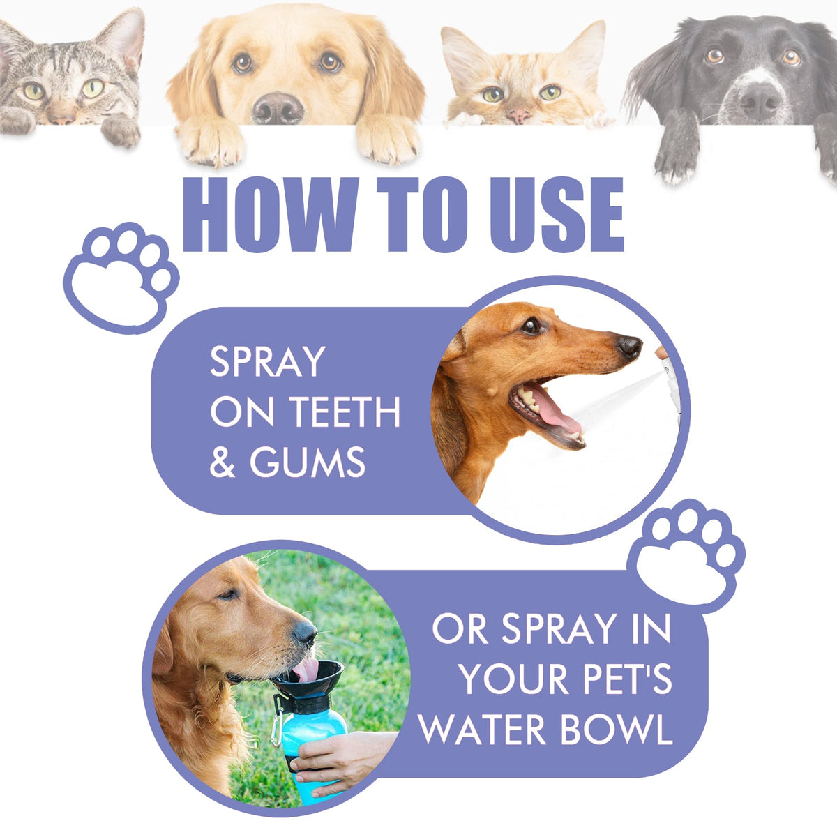 Pet Oral Care Spray for Fresh Breath & Cleaner Teeth