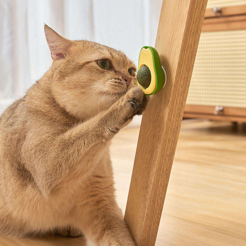 Rotating Interactive Cat Toy for Fresh-Breath Play