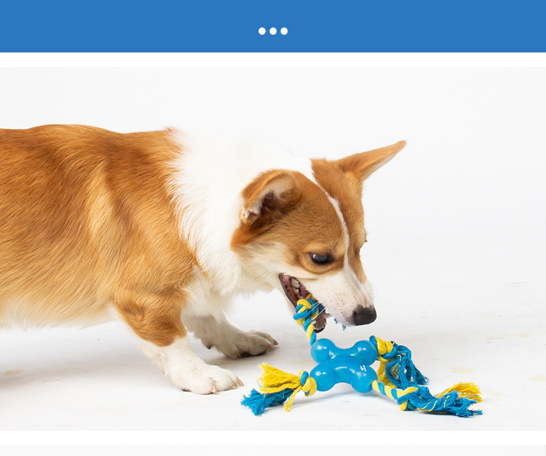 Interactive Dog Rope Toy for Tug, Fetch & Dental Play