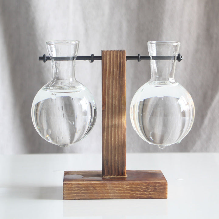 Transparent Bulb Vase With Wood Stand For Cuttings