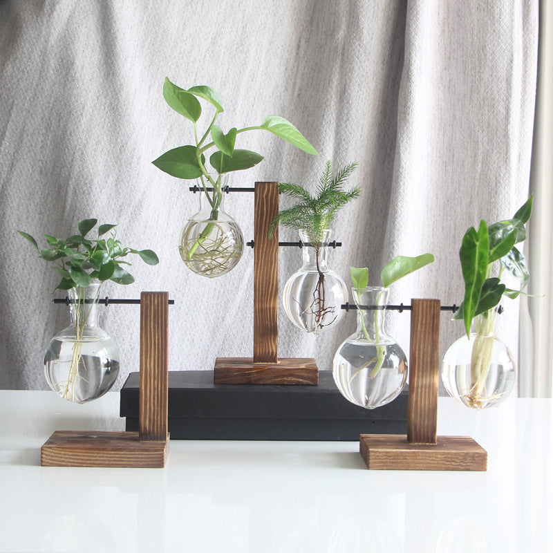 Transparent Bulb Vase With Wood Stand For Cuttings