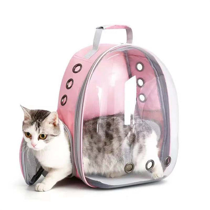 Transparent Pet Backpack for Visible, Breezy Travel