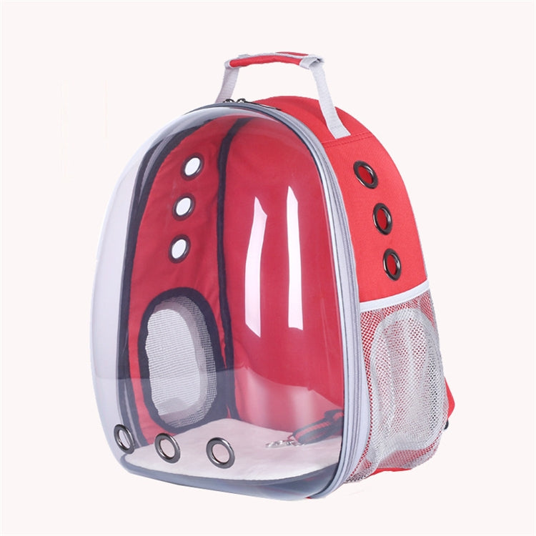 Transparent Pet Backpack for Visible, Breezy Travel