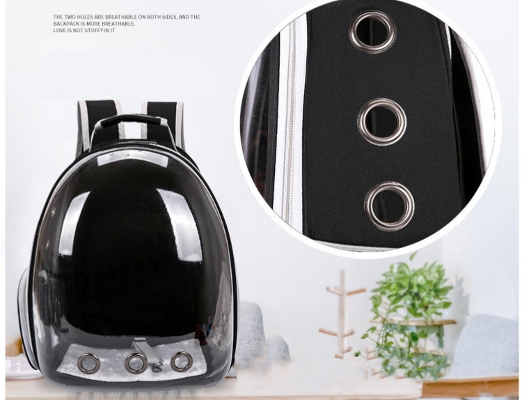 Transparent Pet Backpack for Visible, Breezy Travel