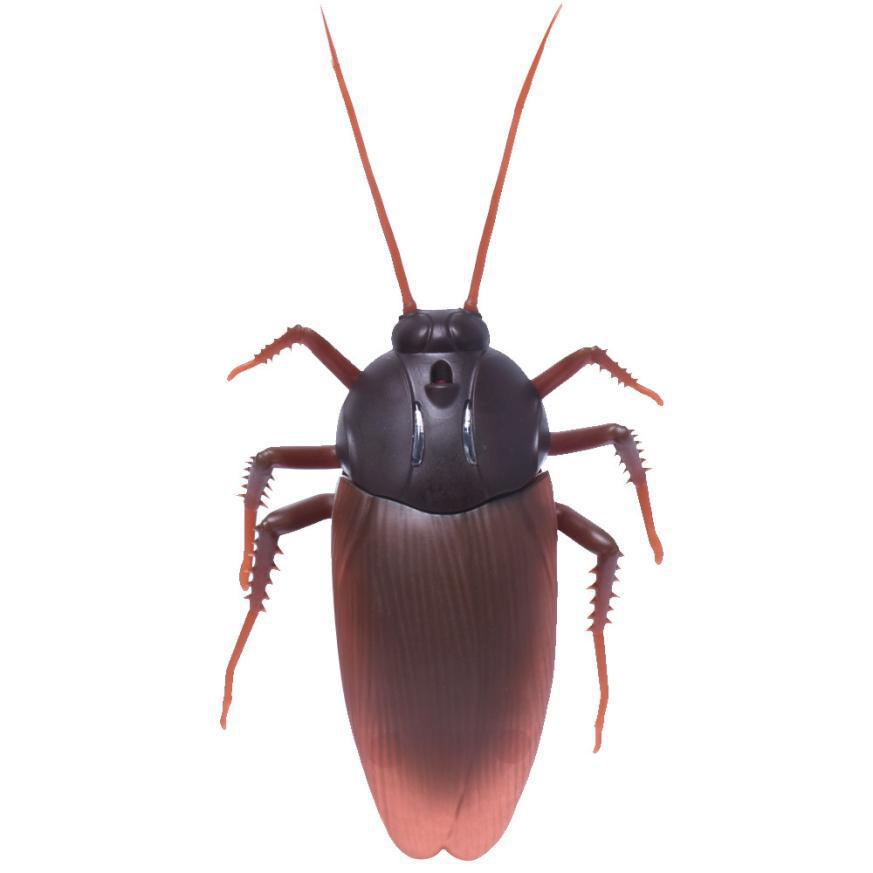 Remote-Controlled Cockroach Toy for Science & Pranks