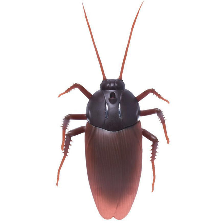 Remote-Controlled Cockroach Toy for Science & Pranks