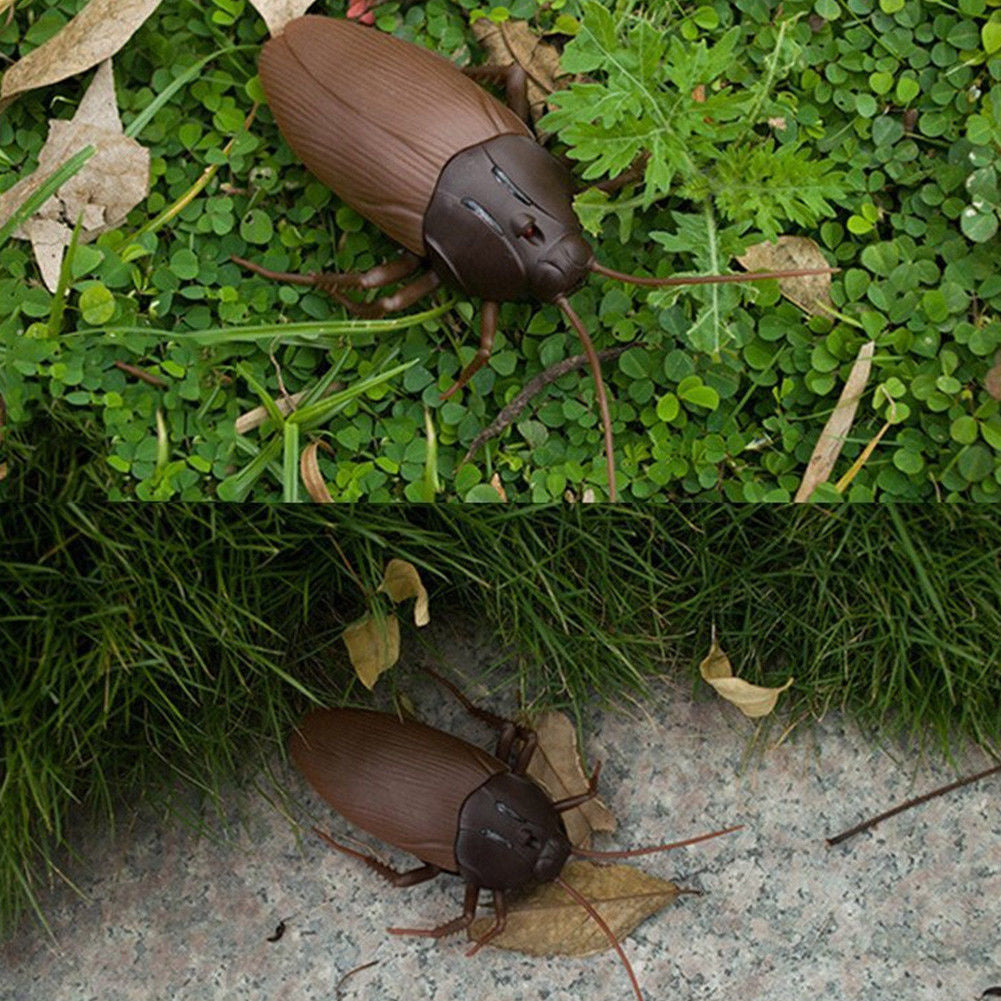 Remote-Controlled Cockroach Toy for Science & Pranks