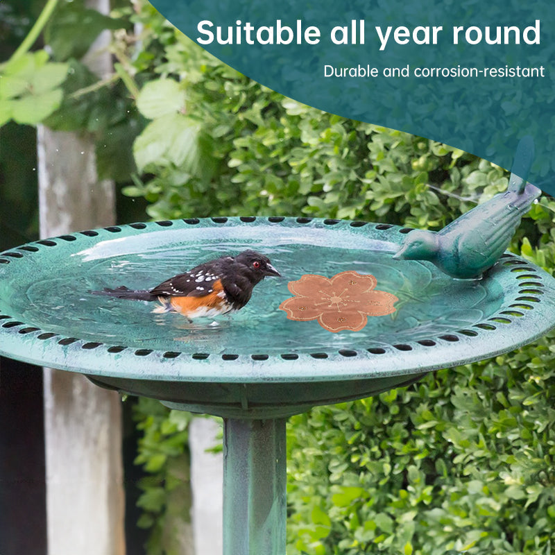 Copper Bird Bath Tray for a More Inviting Water Spot