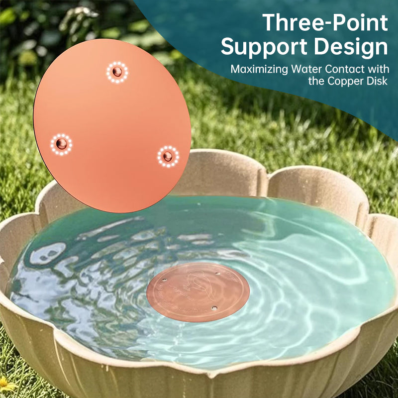 Copper Bird Bath Tray for a More Inviting Water Spot