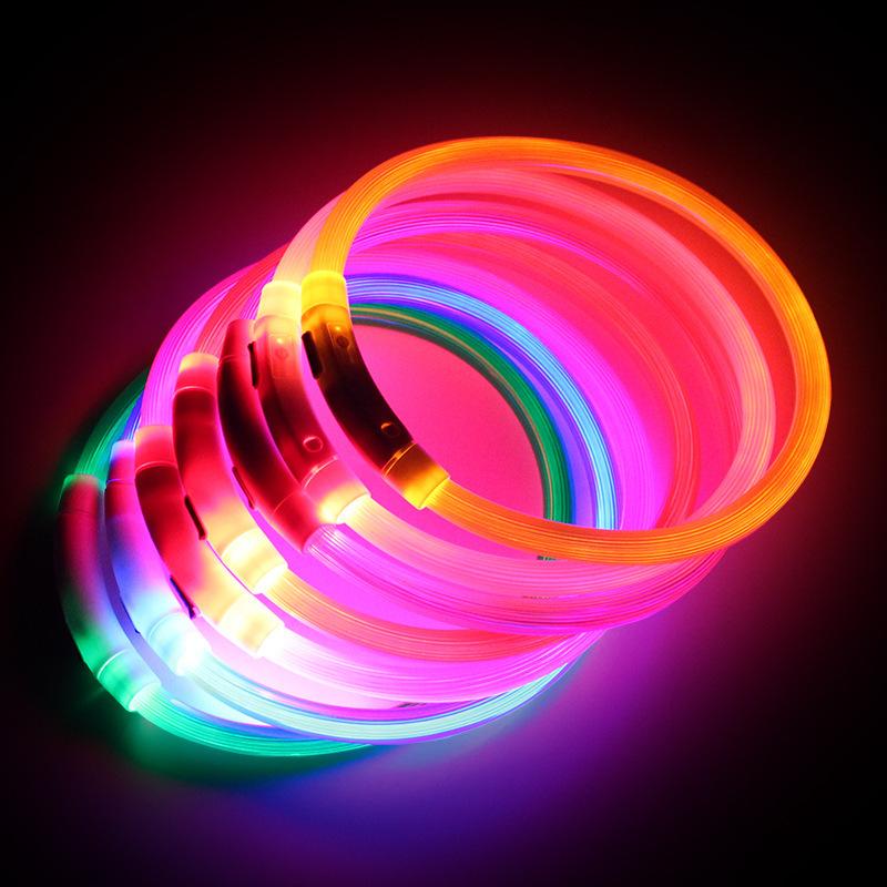 Rechargeable LED Dog Collar That Glows on Night Walks