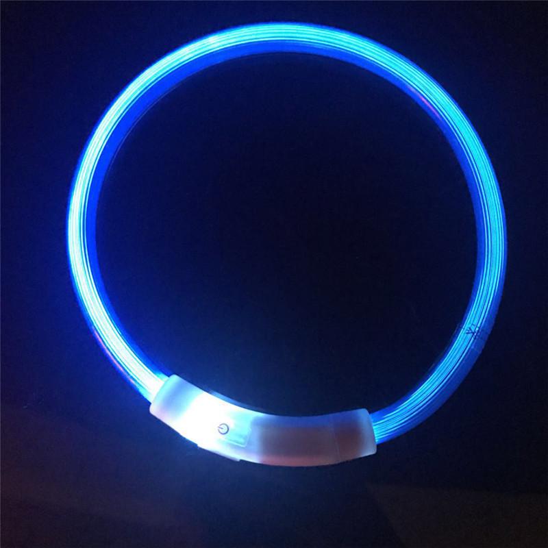 Rechargeable LED Dog Collar That Glows on Night Walks