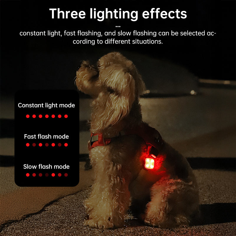 USB Rechargeable LED Pet Safety Light for Night Walks