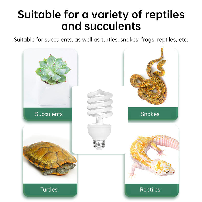 UVB Reptile Lamp for Calcium-Supporting Enclosure Light