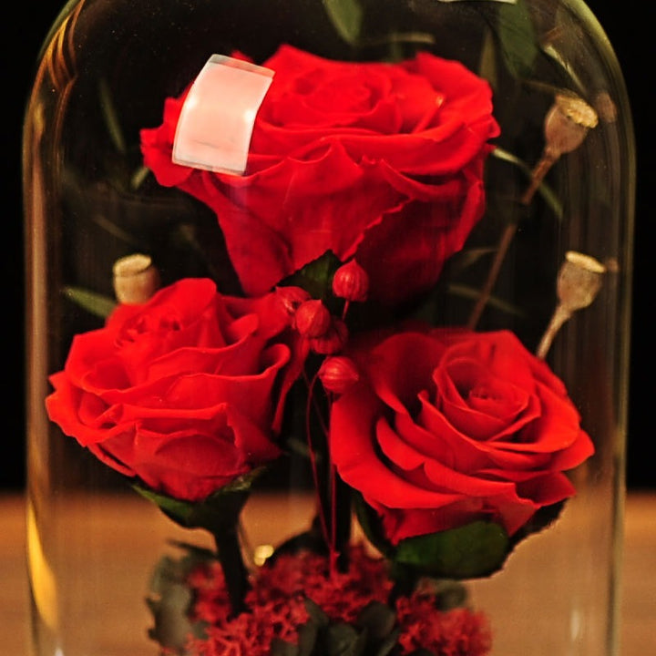 Preserved Rose Dome Gift for Lasting Romantic Decor
