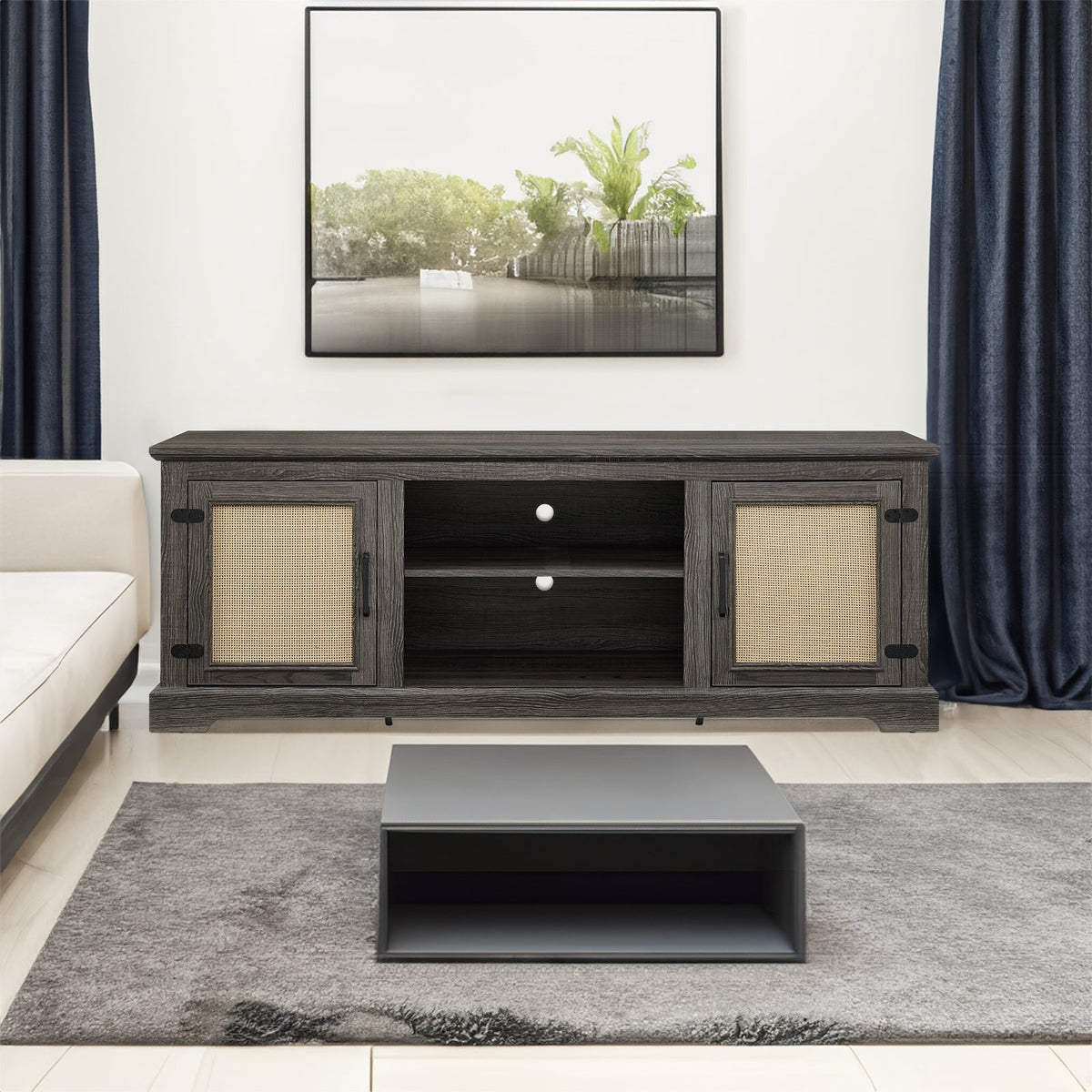 Rattan Door TV Stand Console for TVs Under 70 Inches