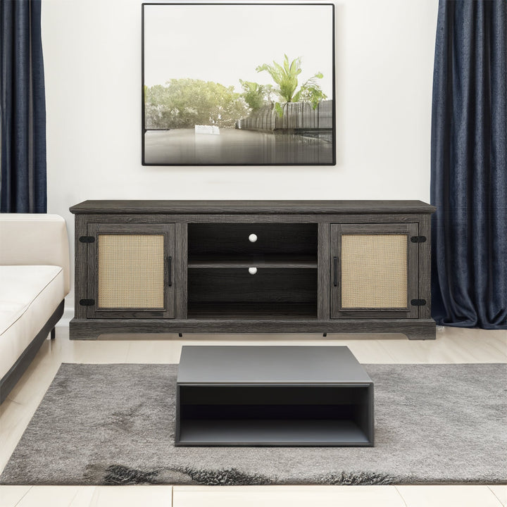 Rattan Door TV Stand Console for TVs Under 70 Inches