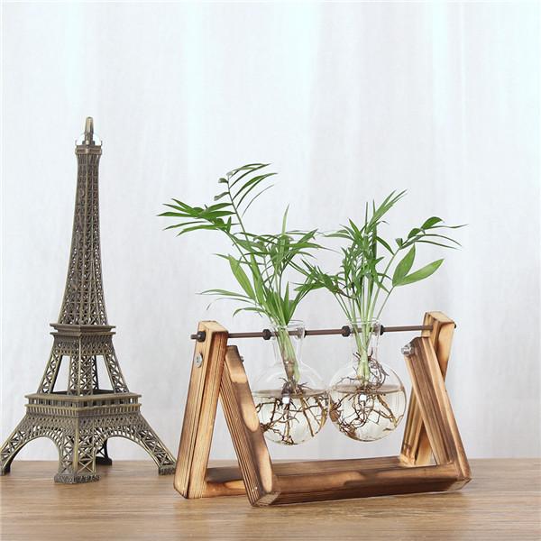 Hydroponic Plant Vase with Wooden Frame for Root Display