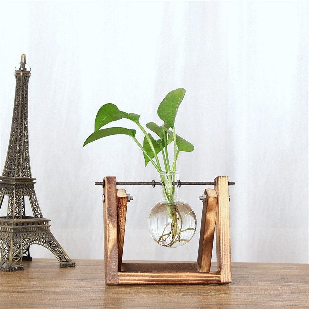 Hydroponic Plant Vase with Wooden Frame for Root Display