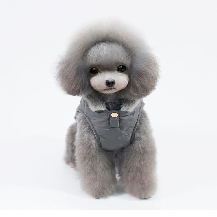Small Dog Winter Coat With Warm Quilted Hooded Fit