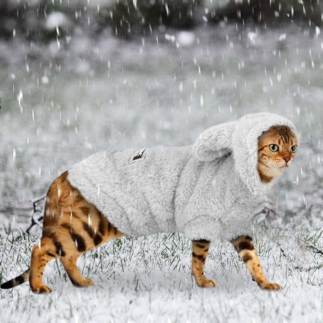 Plush Fleece Cat & Small Dog Winter Coat With Hood