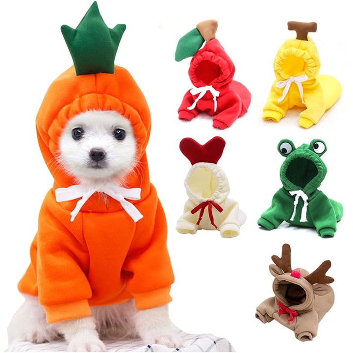 Small Dog Winter Coat Hoodie for Cozy Winter Coverage