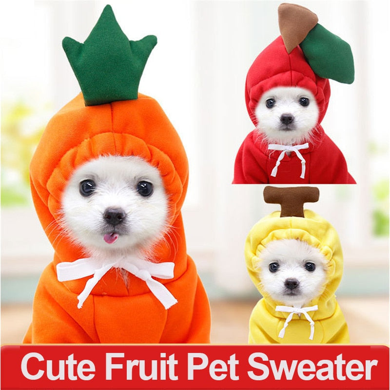 Small Dog Winter Coat Hoodie for Cozy Winter Coverage