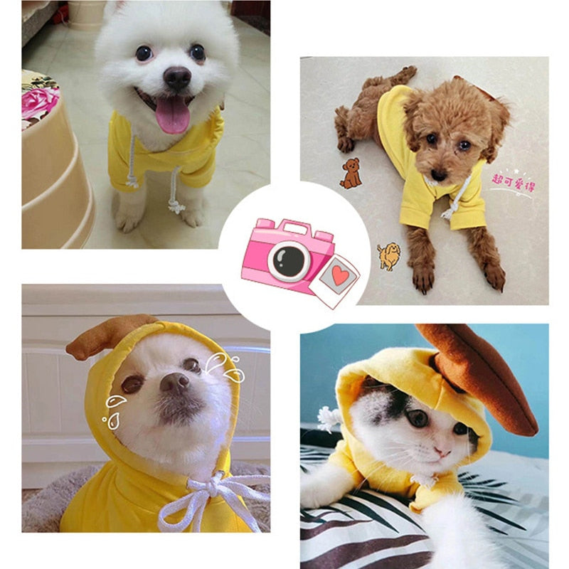 Small Dog Winter Coat Hoodie for Cozy Winter Coverage