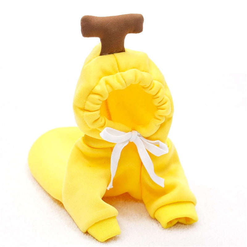 Small Dog Winter Coat Hoodie for Cozy Winter Coverage