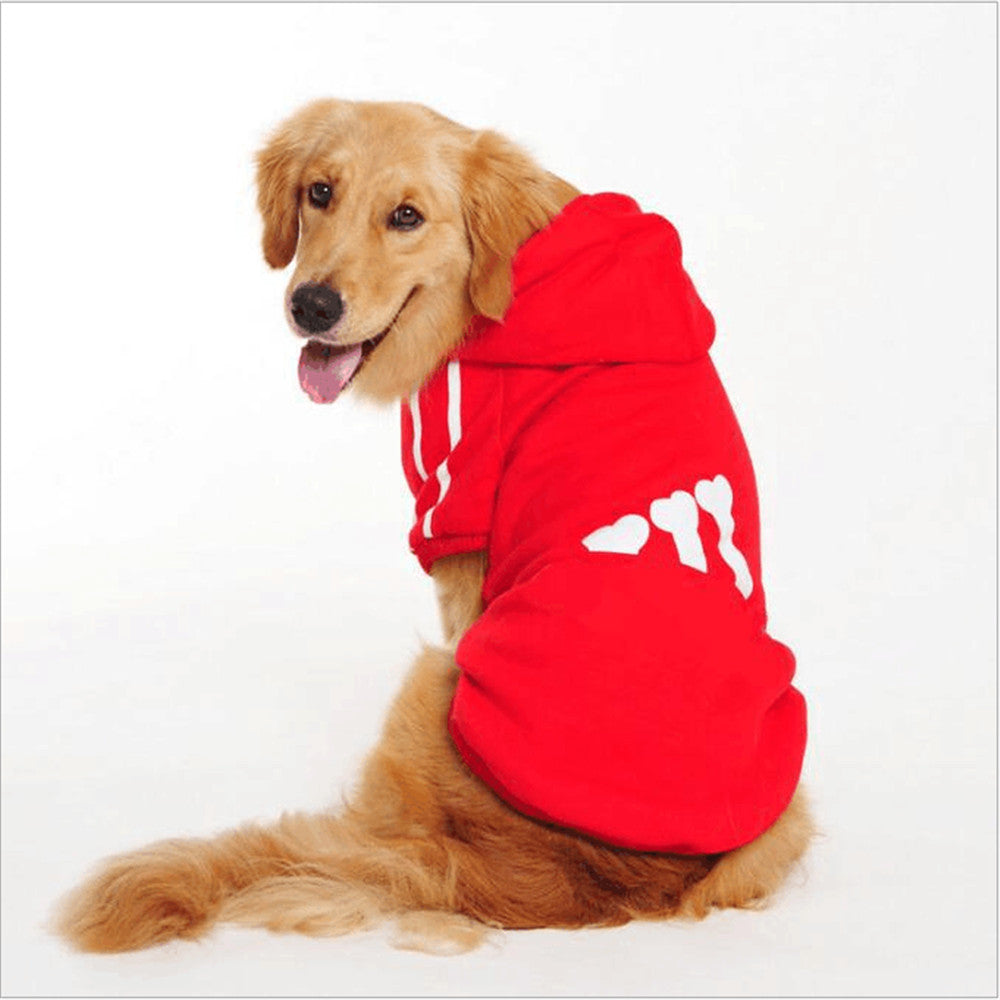 Dog Winter Jacket with Hood for Warm, Stylish Walks