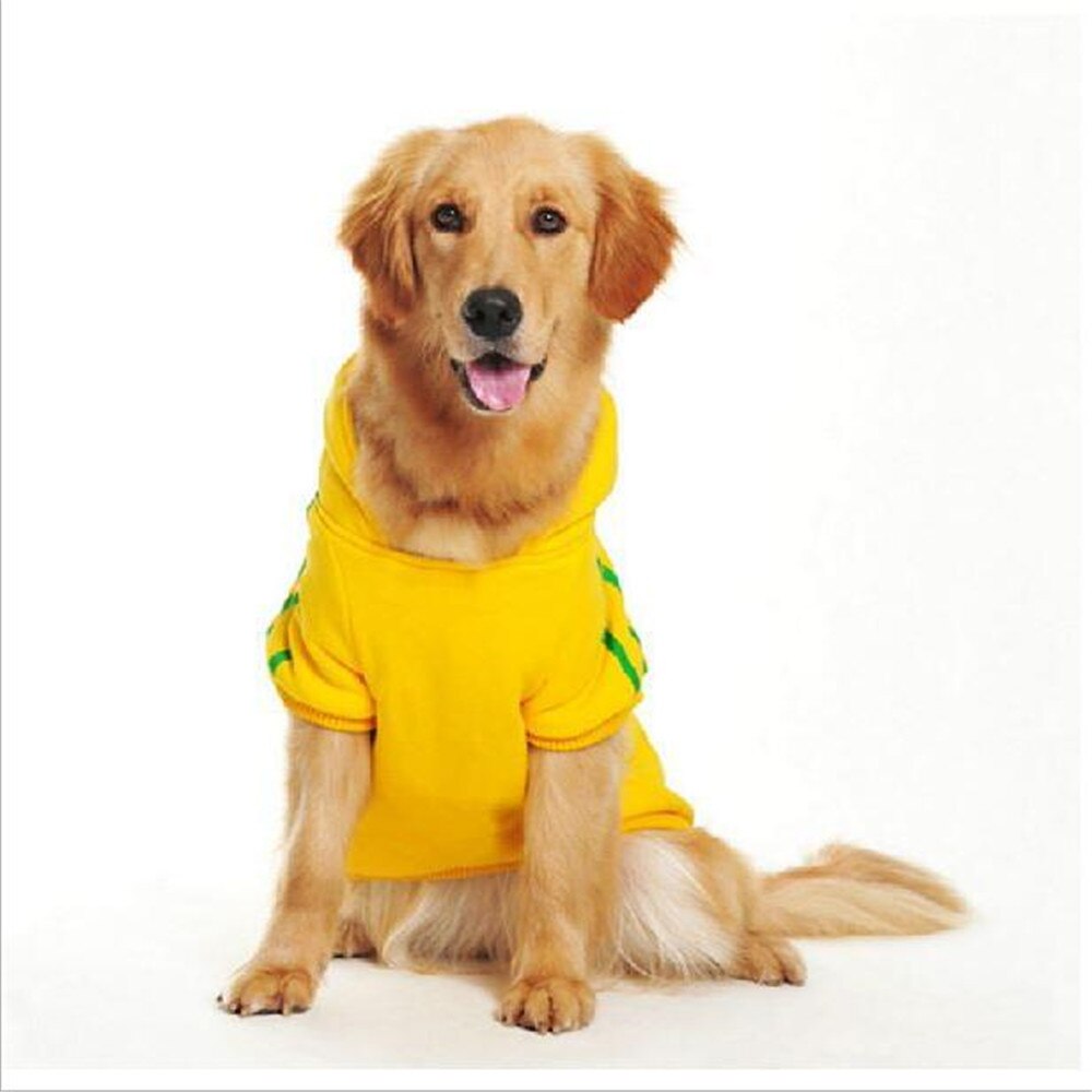 Dog Winter Jacket with Hood for Warm, Stylish Walks