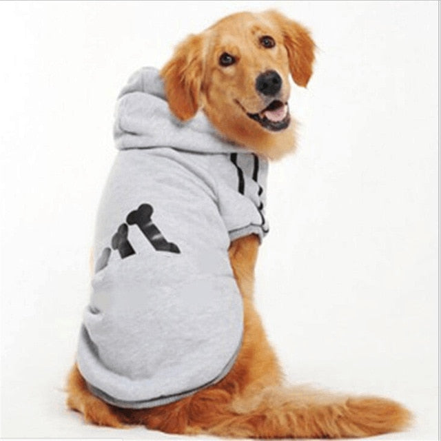 Dog Winter Jacket with Hood for Warm, Stylish Walks