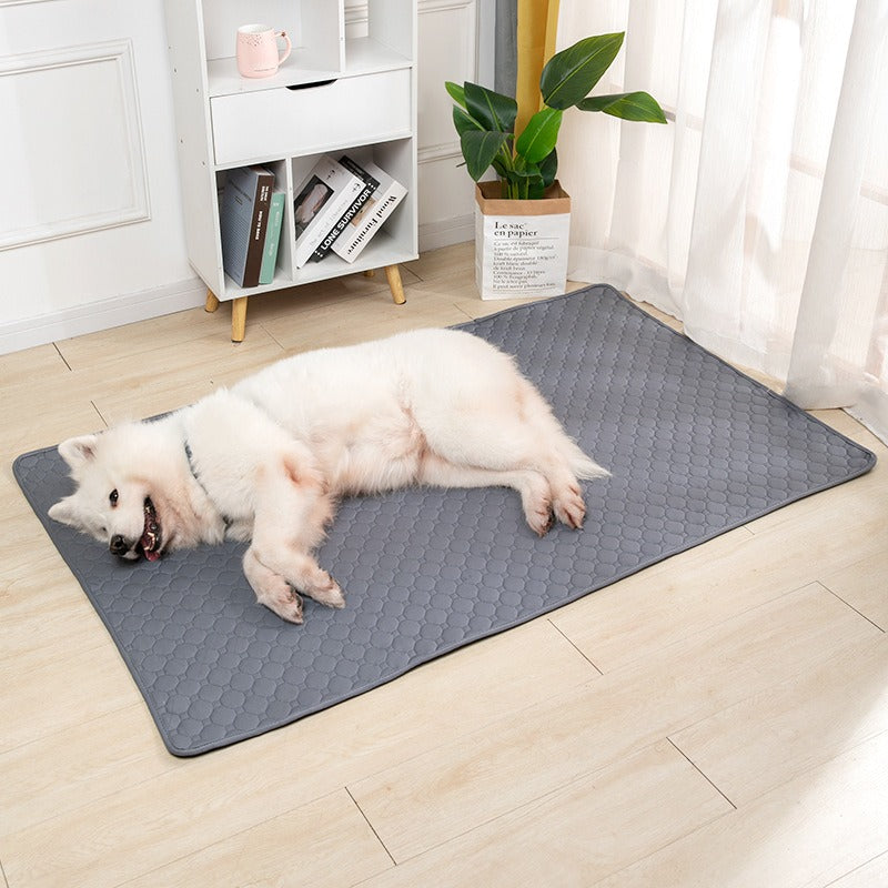 Reusable Pet Urine Pad for Cleaner, Drier Indoor Floors