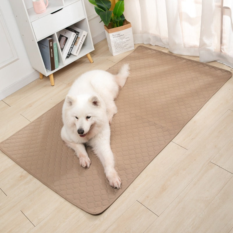 Reusable Pet Urine Pad for Cleaner, Drier Indoor Floors