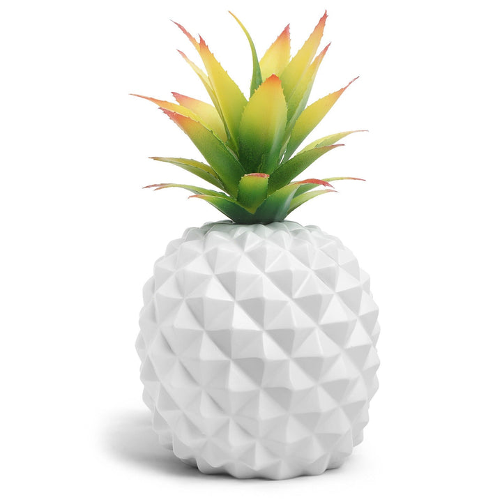 White Pineapple Plant Decor for Low-Maintenance Style