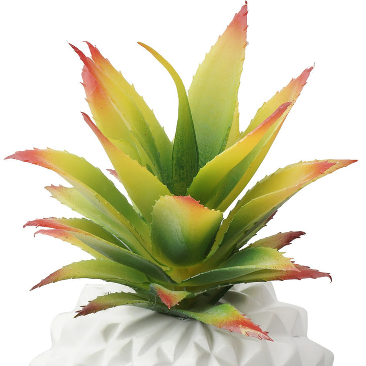 White Pineapple Plant Decor for Low-Maintenance Style
