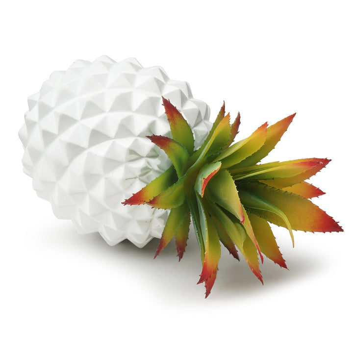 White Pineapple Plant Decor for Low-Maintenance Style