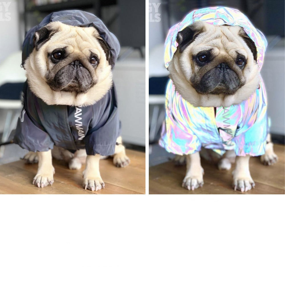 Large Dog Raincoat | Windproof Full-Coverage Protection