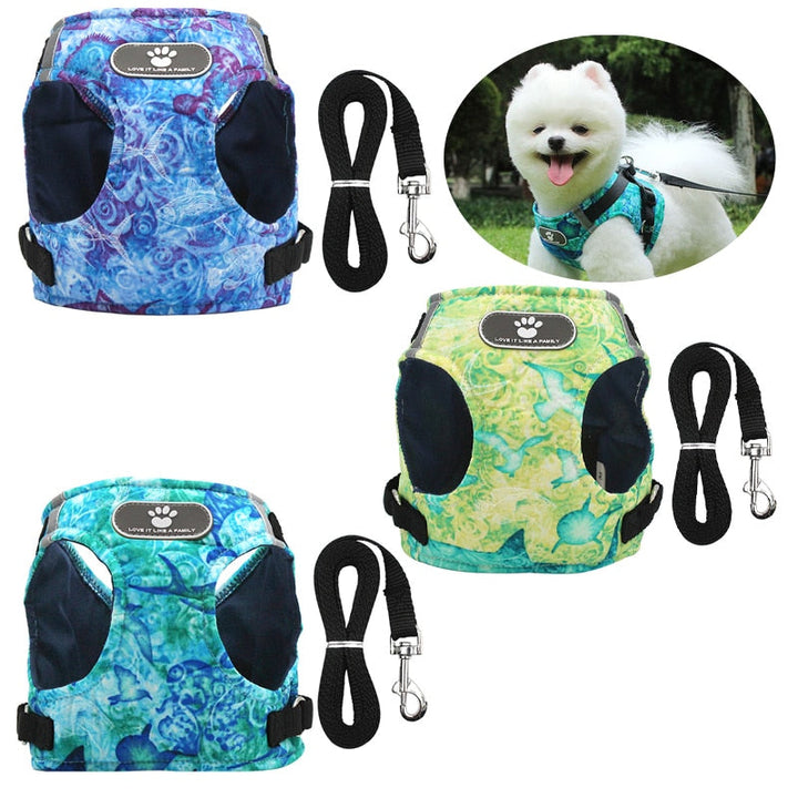 Reflective Dog Harness Vest & Leash Set for Safe Walks