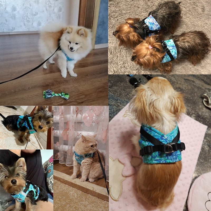 Reflective Dog Harness Vest & Leash Set for Safe Walks