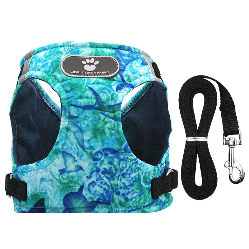 Reflective Dog Harness Vest & Leash Set for Safe Walks
