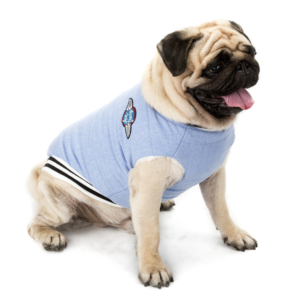 Dog Coat With Back Zipper for Warm, Polished Walks