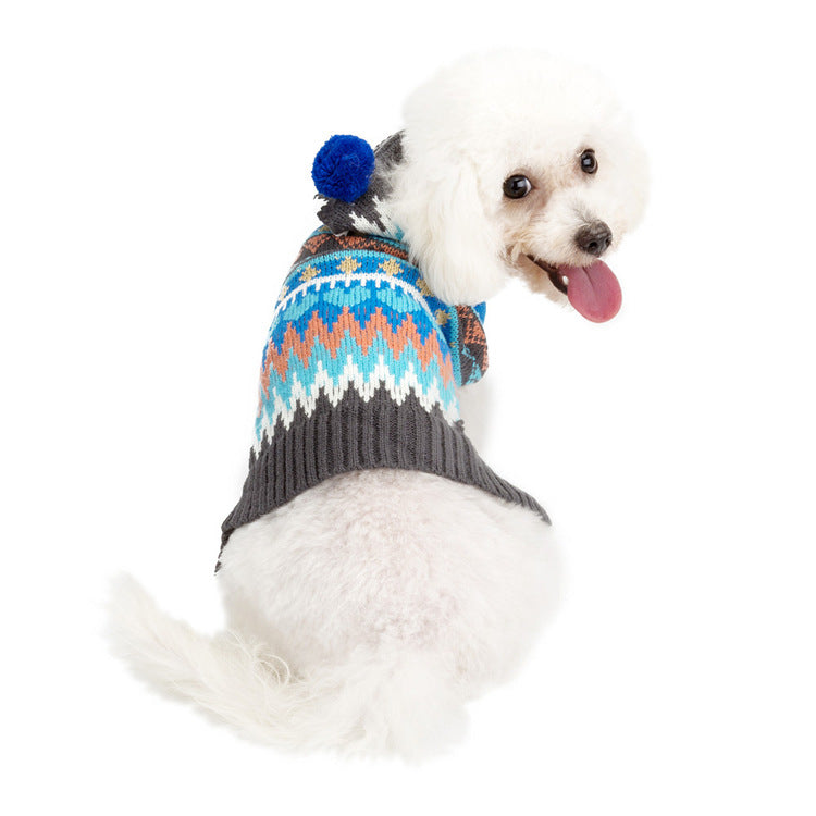 Small Dog Sweater With Hood | Cozy Colorful Winter Outfit