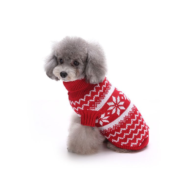 Small Dog Winter Sweater – Nordic Knit Warmth & Comfort