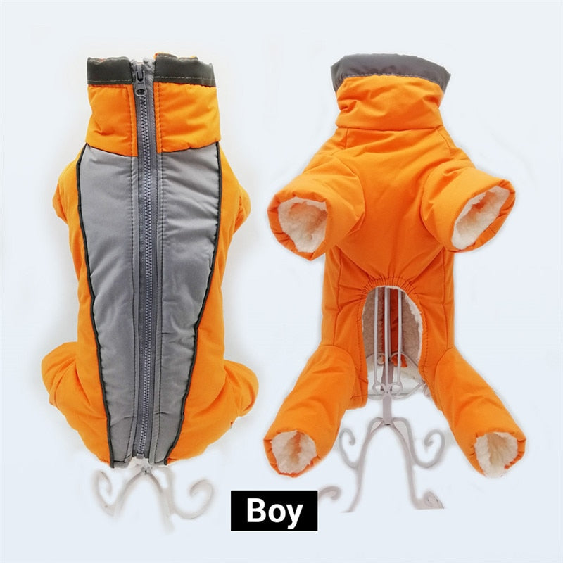 Winter Dog Overalls for Warm, Dry, Safer Winter Walks